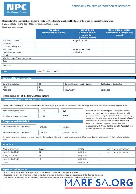 Realistic Barbados National Petroleum Corporation of Barbados gas business utility bill template in Word and PDF format
